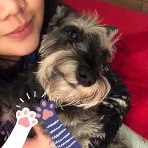 Meet your Posher, Joan